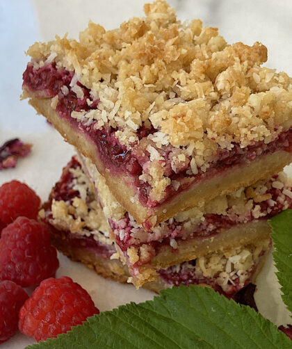 paleo raspberry coconut bar