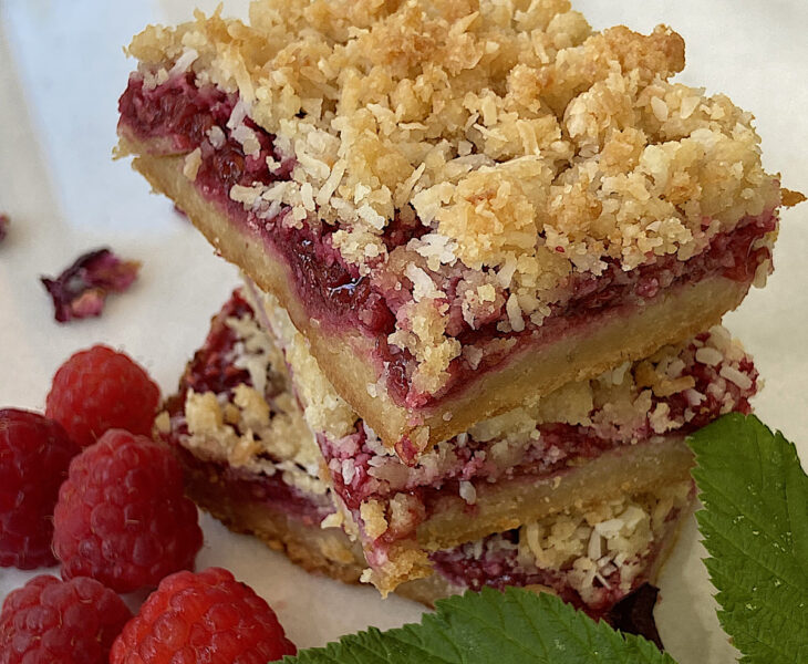 paleo raspberry coconut bar