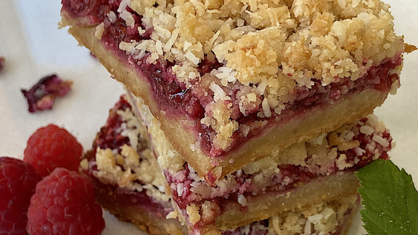 paleo raspberry coconut bar