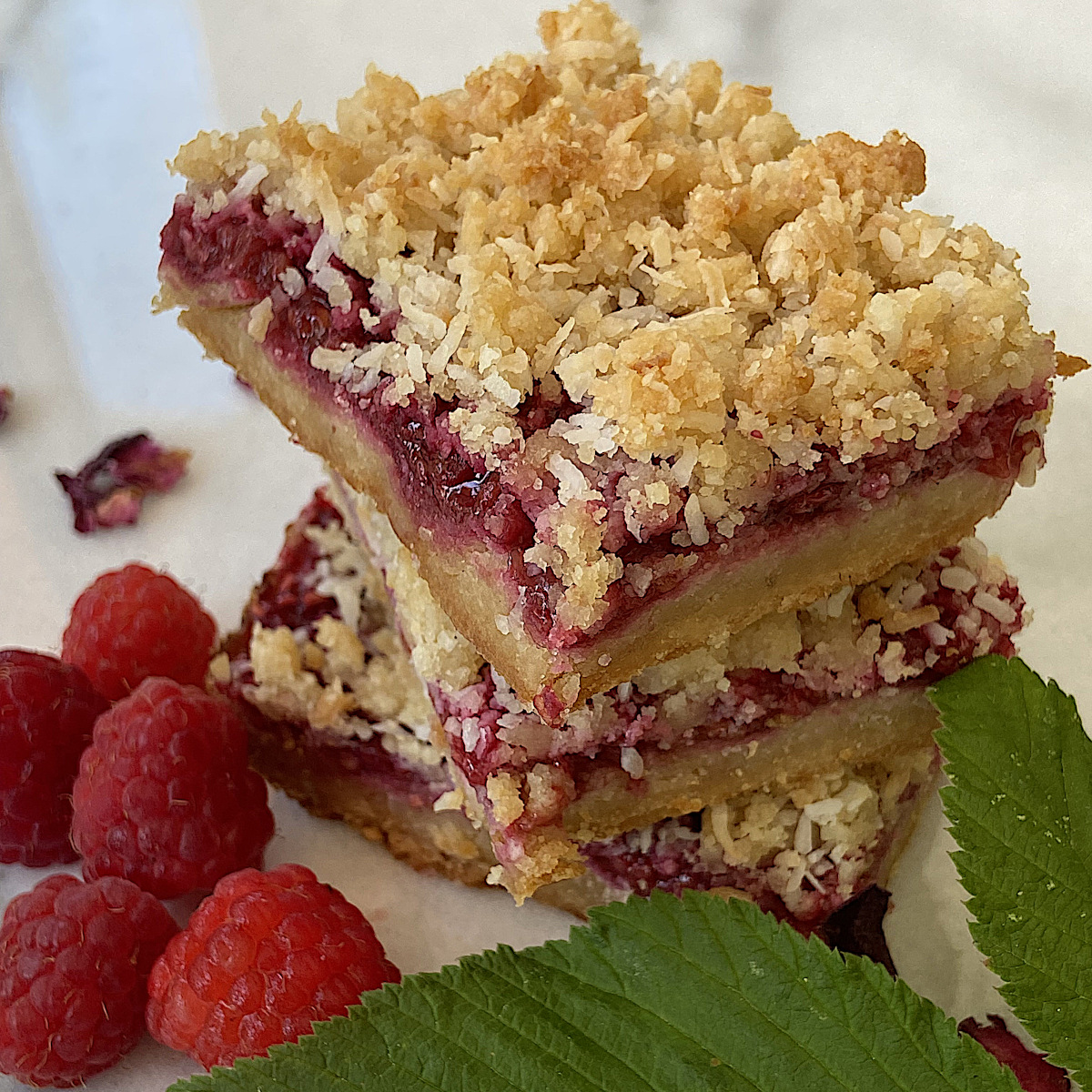Paleo Raspberry Coconut Bars – Easy Homemade Trail Snack
